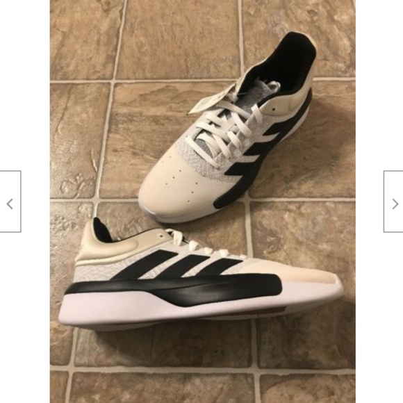 pro adversary low 2019 shoes